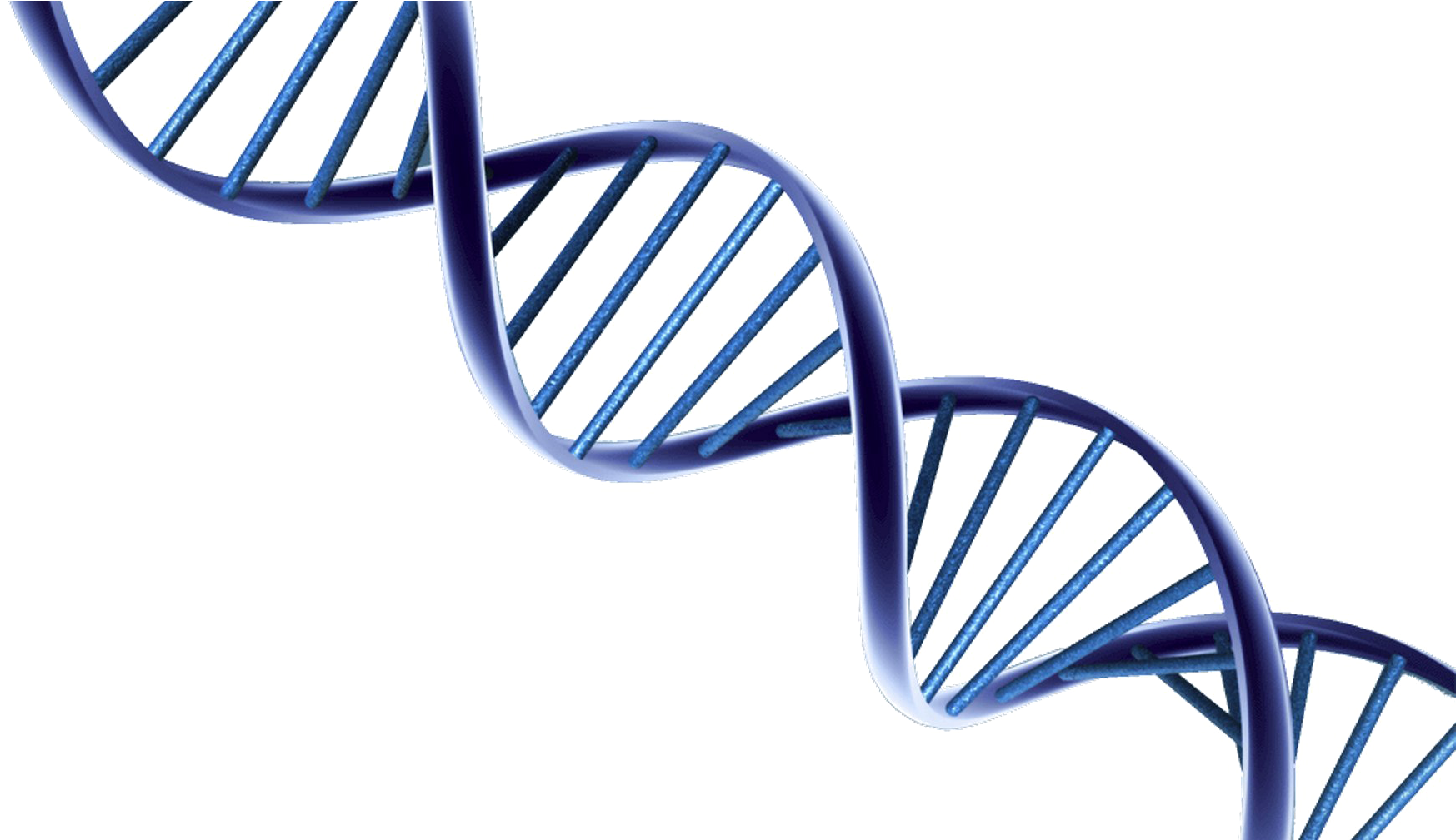 Dna Png Photo - Psa &amp; Prostate Cancer Research (1762x1008), Png Download