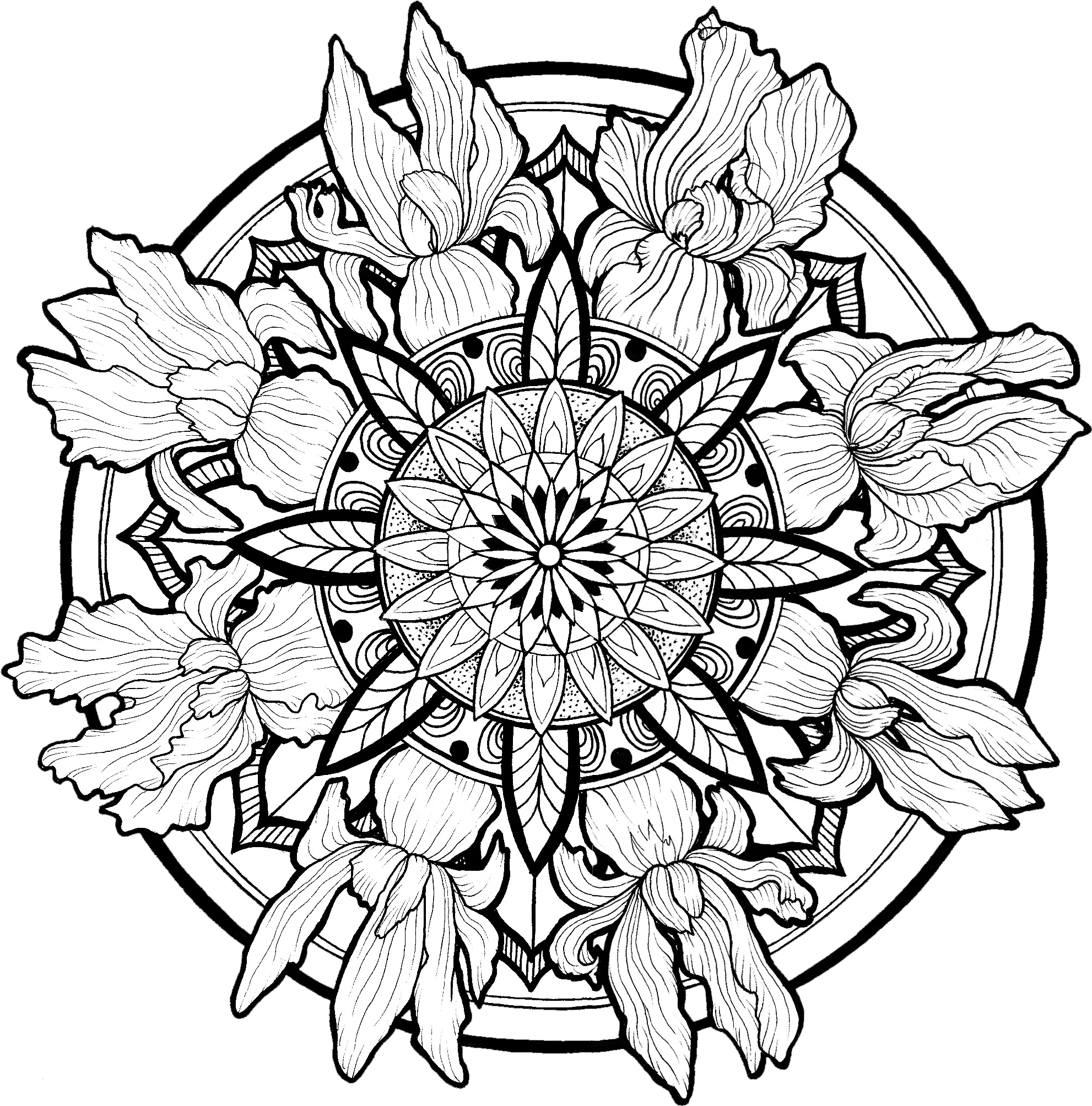 Line Illustrations, Mandalas, Nature - Line Work Mandala (2362x2362), Png Download