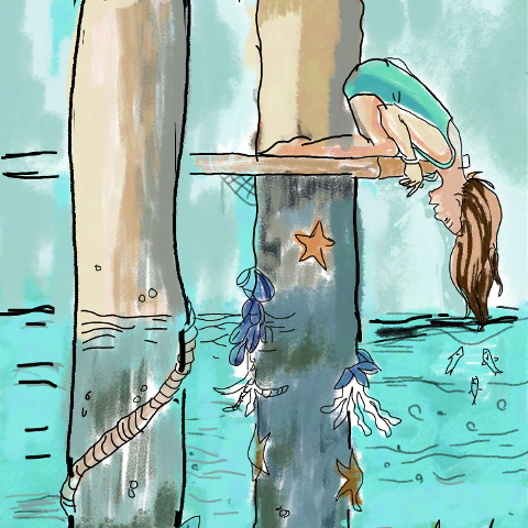 Picsart Photo Studio (480x480), Png Download