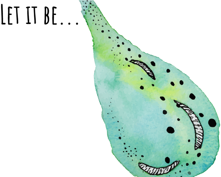 A Simple Watercolor Reminder To Live In The Moment - Caterpillar (800x600), Png Download