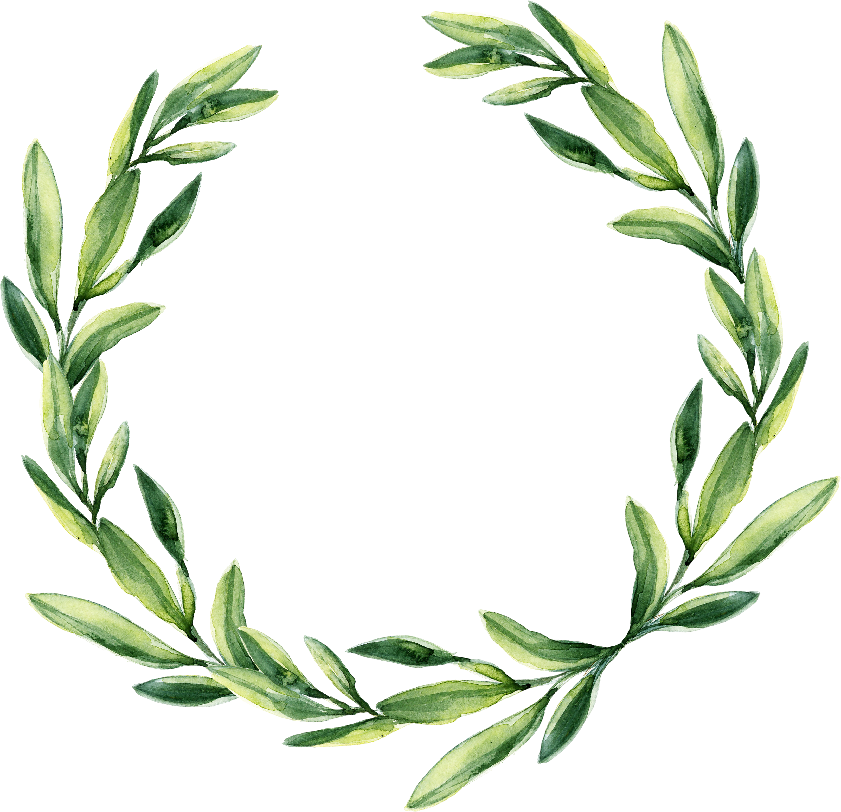 Wreath Wedding Painting Calligraphy Gift Green Leaf (3233x3125), Png Download