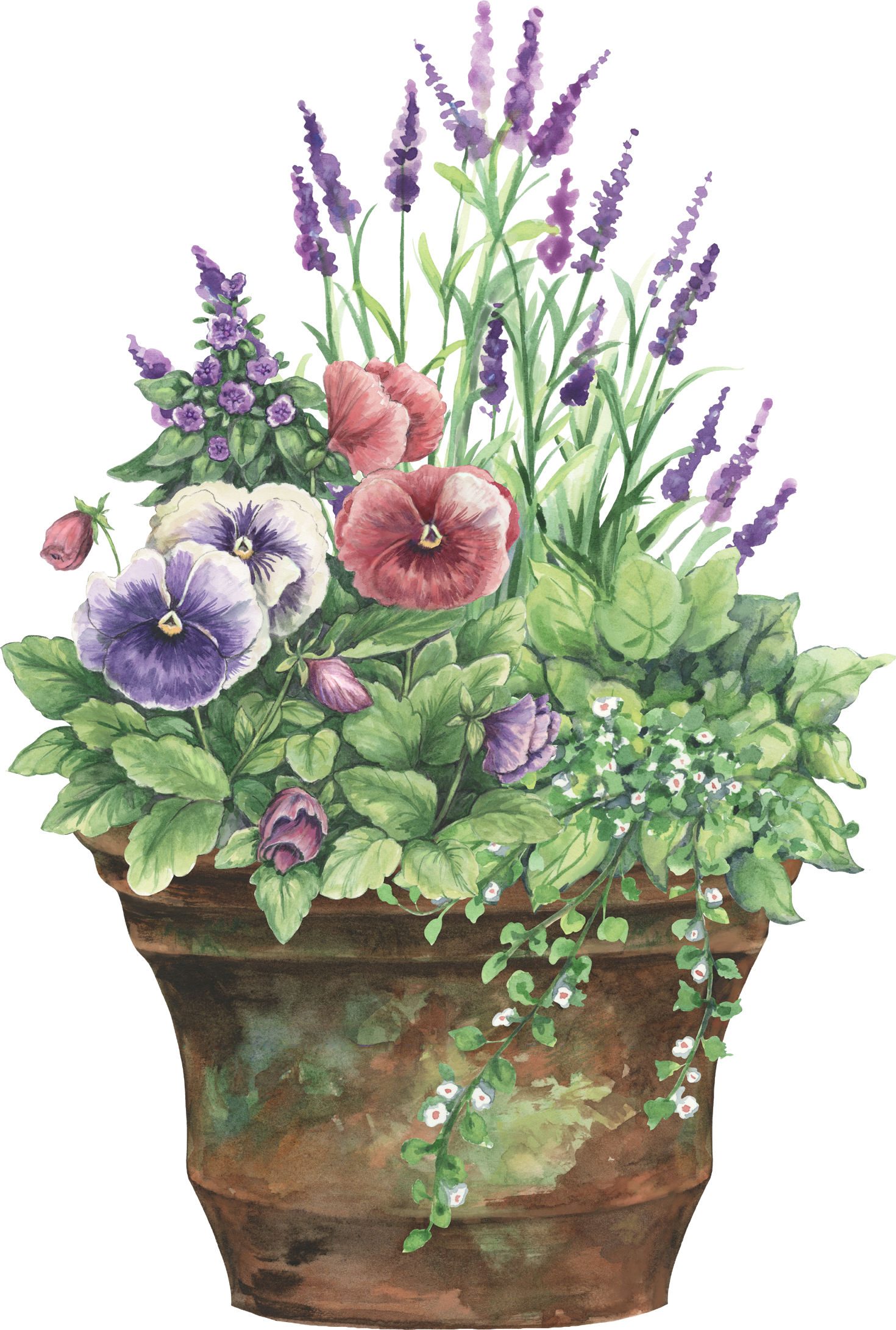 Floral Planter - Rustic Flower Pot Clipart (1470x2181), Png Download