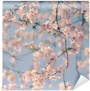 Cherry Blossom Filter (400x400), Png Download