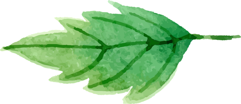 Watercolor Painting (800x346), Png Download