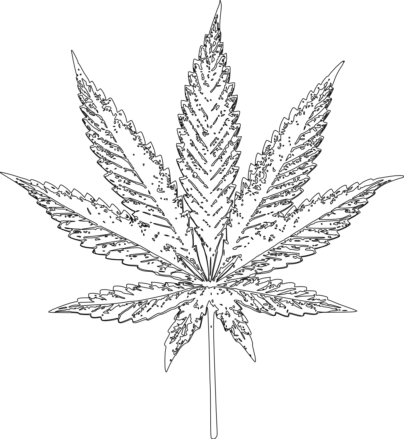 Drawn Weed Indica Leaf - Cannabis (1331x1448), Png Download