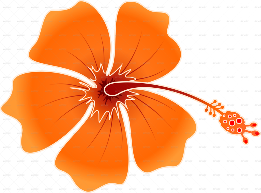 Hibiskis Png Clipart Shoeblackplant Roselle - Orange Hawaiian Flower Png (900x665), Png Download