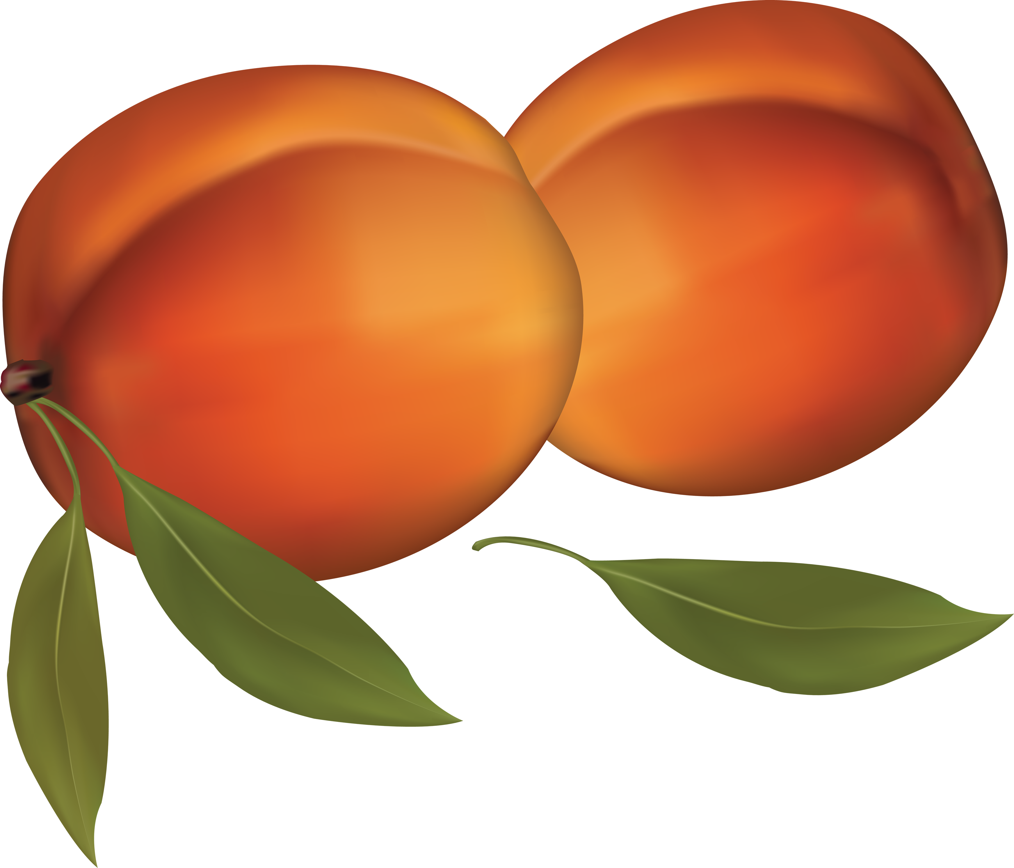 Peach Clipart (3486x2982), Png Download