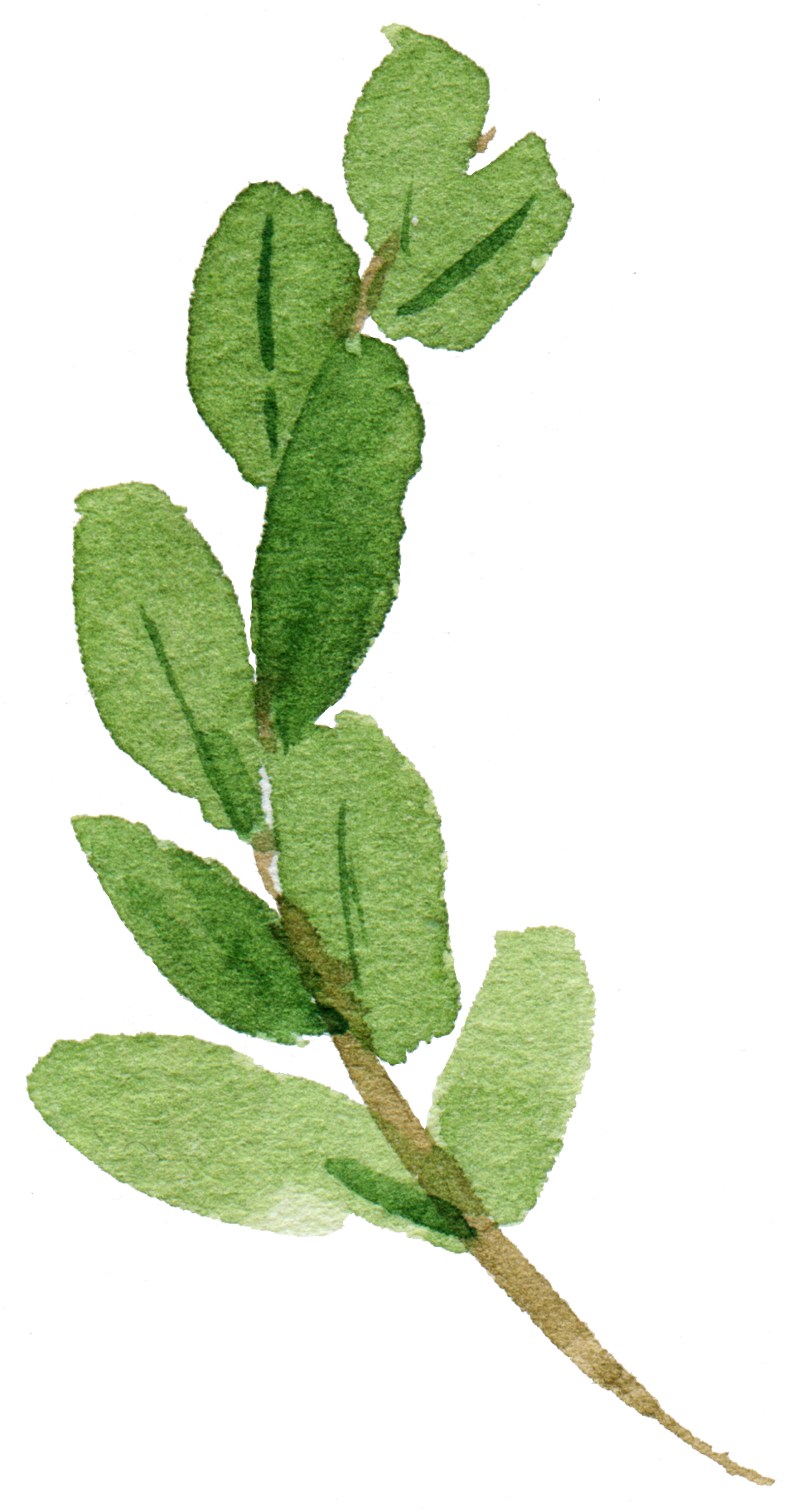 Watercolor Hand Drawn Leaf Png - Posterazzi Bless Our Home Poster Print By Tara Moss (968x1826), Png Download