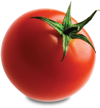Tomato - Tomato With No Background (400x380), Png Download