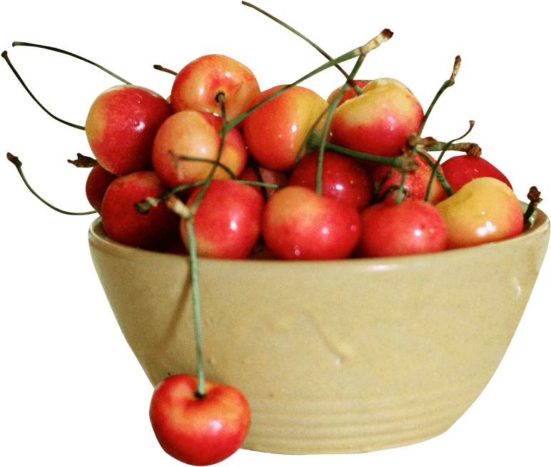 Free Png Rainier Cherry Png Images Transparent - Rainier Cherry (850x731), Png Download