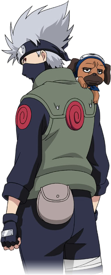Clash Of Kakashi Strategywiki, The Video Game Walkthrough - Kakashi And Pakkun (509x1024), Png Download