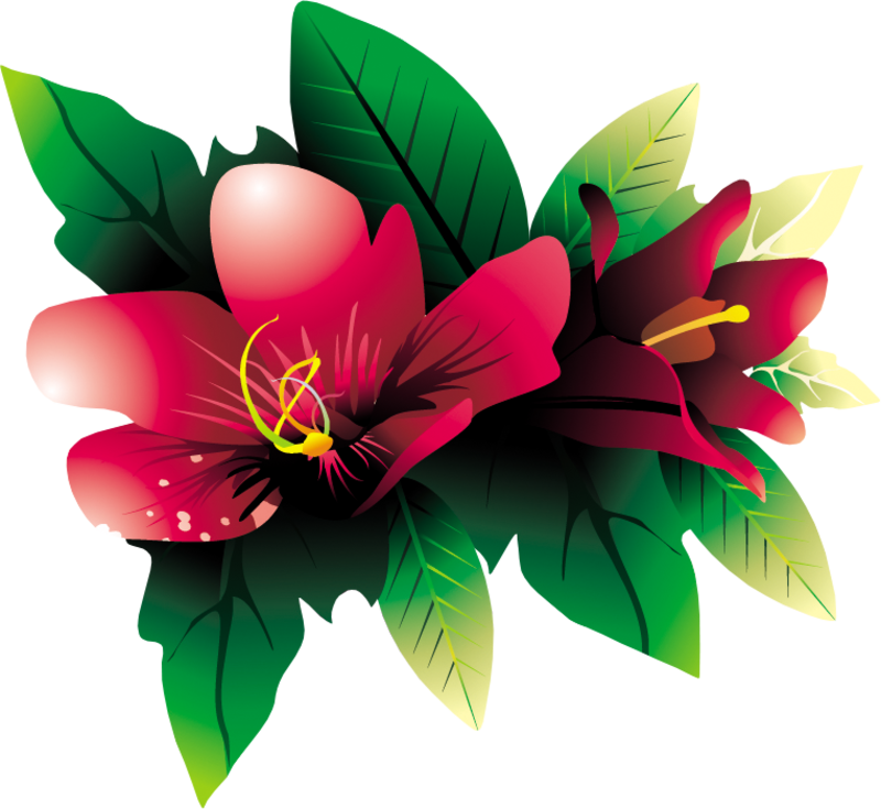Tropical Flower Hq Png By Briellefantasy On Deviantart - Portable Network Graphics (763x701), Png Download