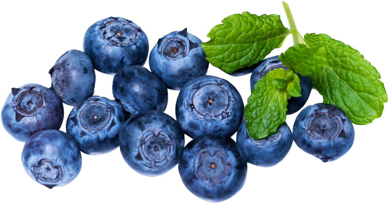 Blueberries Png (1395x743), Png Download