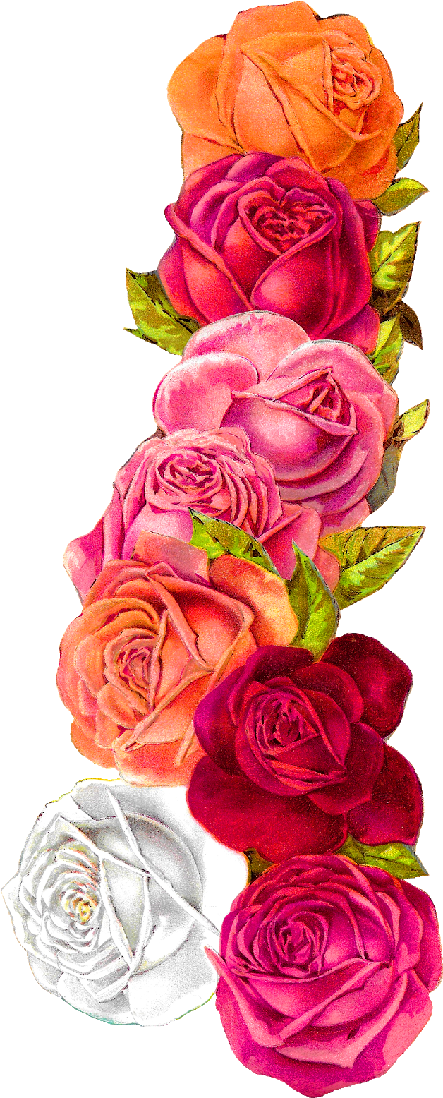 Posted On The Graphics Monarch, There Is A Pretty, - Border Design For Scrapbook (694x1600), Png Download