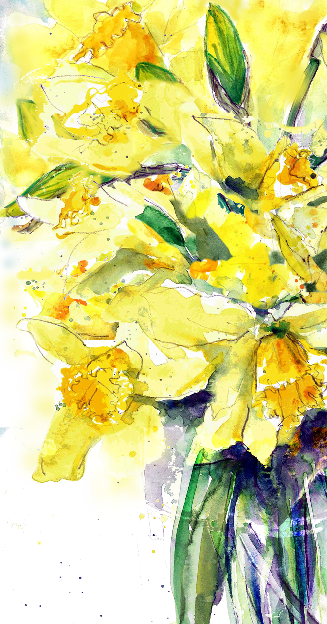 Hurry Up Spring - Daffodil (660x1259), Png Download