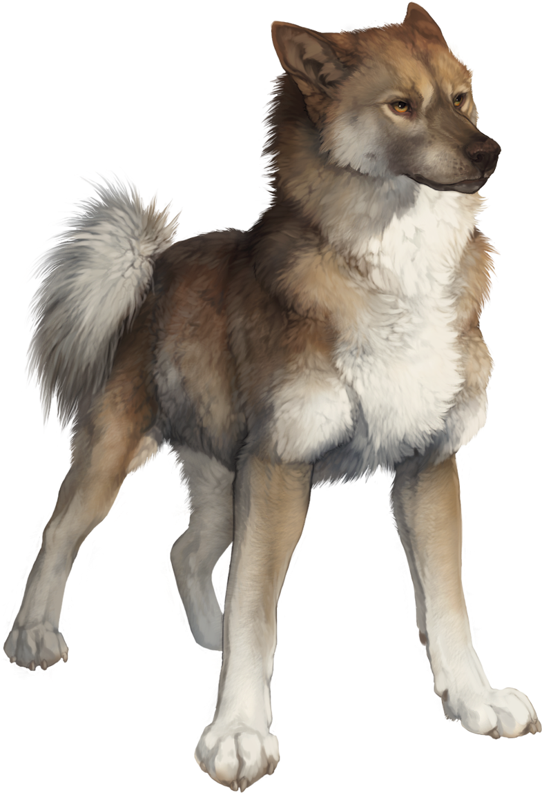 Wolf Drawings, Art Drawings, Animal Sketches, Art Sketches, - Wolf (836x1148), Png Download