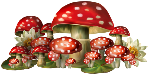 Throughmyeyes - Toadstools Png (500x253), Png Download
