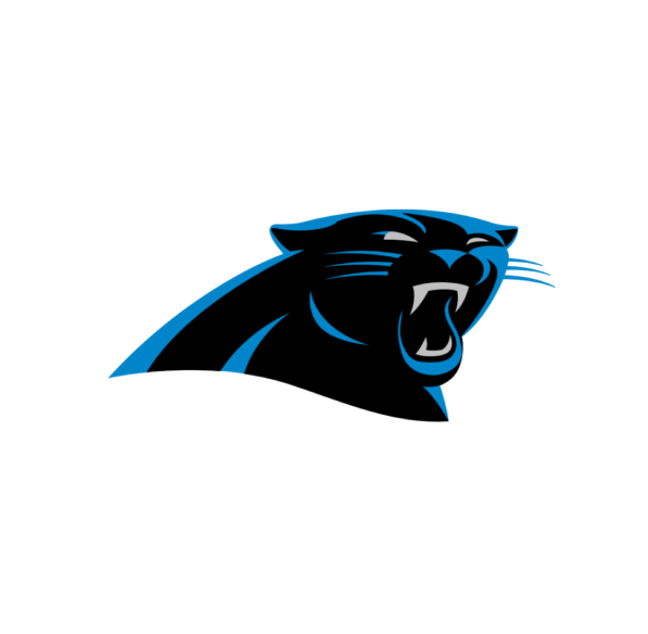 Carolina Panthers Logo Png - Carolina Panthers (800x600), Png Download