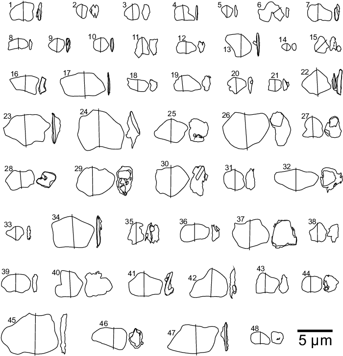 External Shapes Of 48 Dust Particles Investigated In - Particle (708x738), Png Download