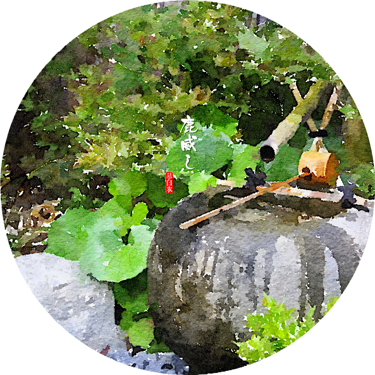 Thank You - Canoe Birch (1200x1200), Png Download