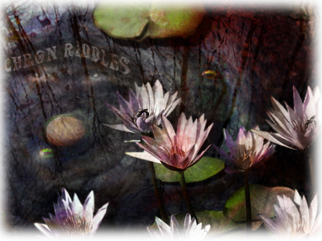 Poor Lost Souls Have Tried To Conquer Chron Riddles - Sacred Lotus (640x480), Png Download