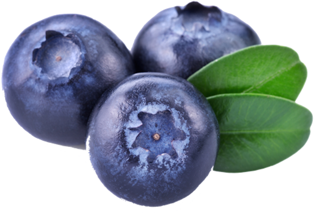Blueberries Png - Bilberry Png (755x540), Png Download