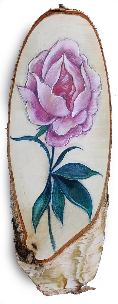 Peony Sconce 2 Cob (390x1000), Png Download