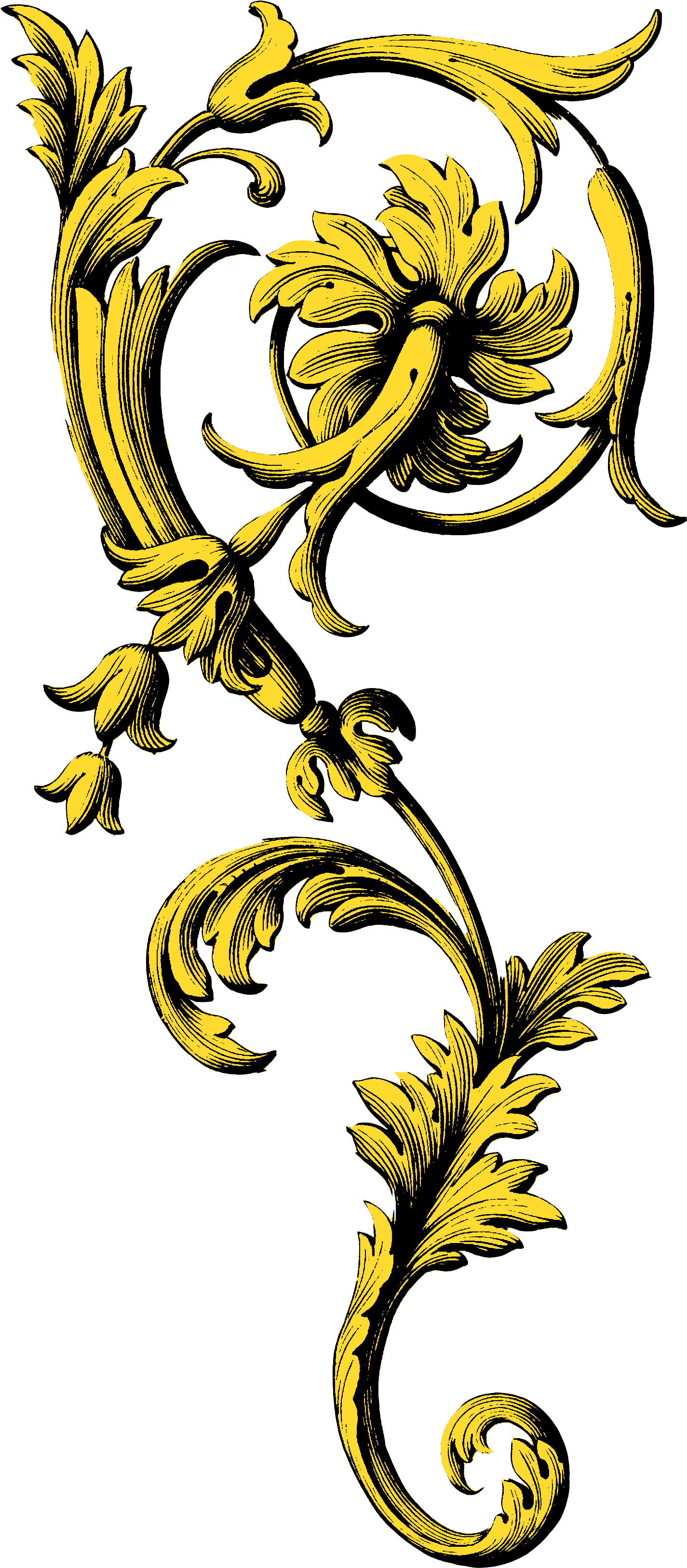 Lily Flourish (1567x3376), Png Download
