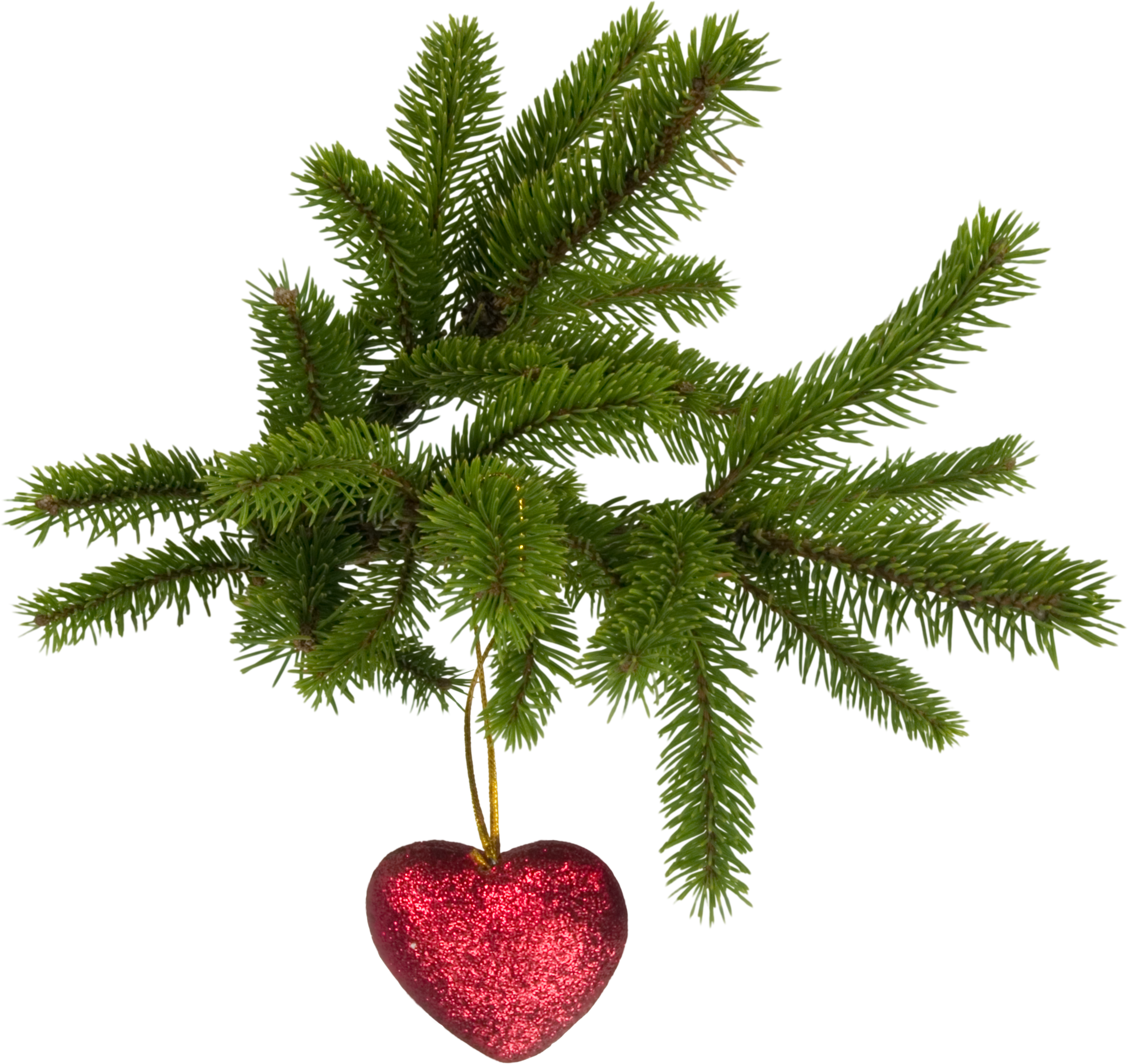 Christmas High Quality Png - Pine Christmas Png (3698x3489), Png Download