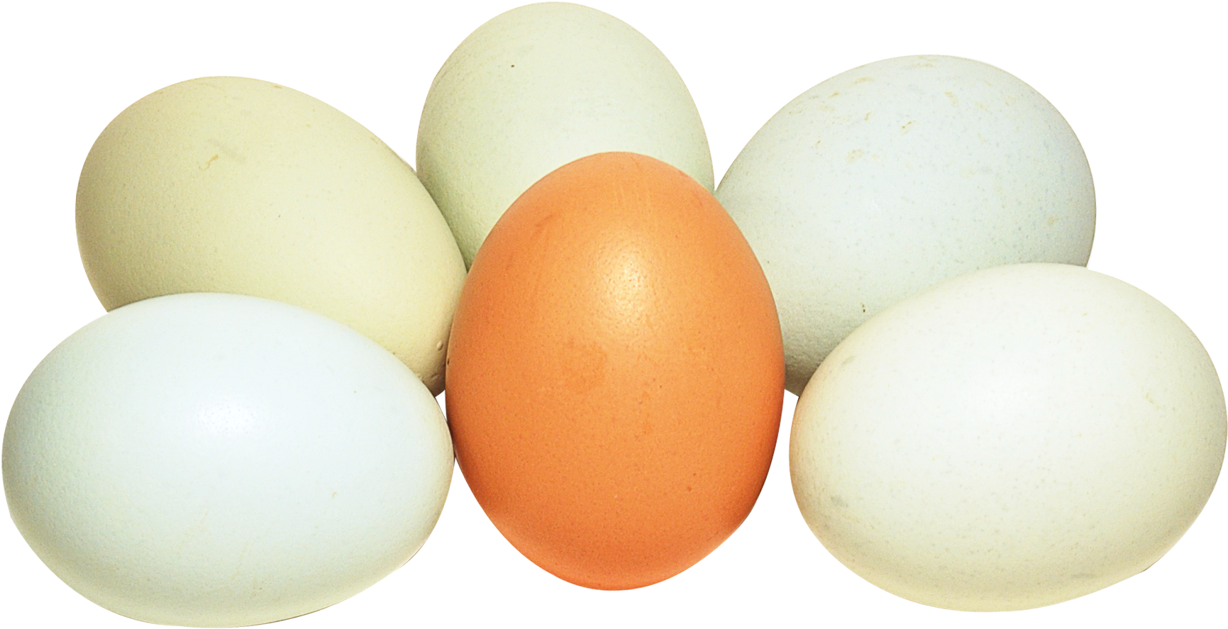 Portable Network Graphics (1850x1018), Png Download