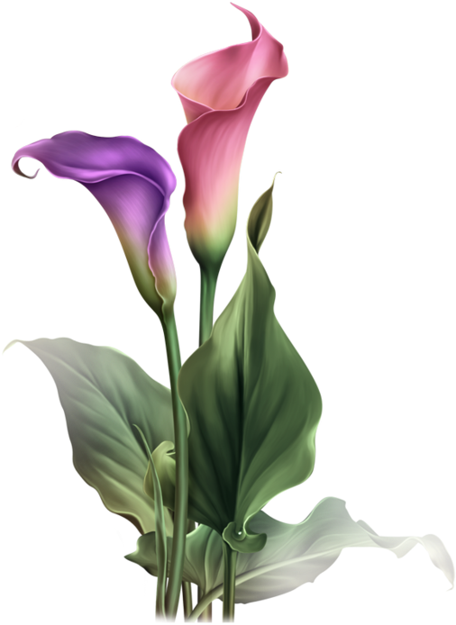 135507760 Elisa Design Kiki 122 003 Resultaat - Flower (518x699), Png Download