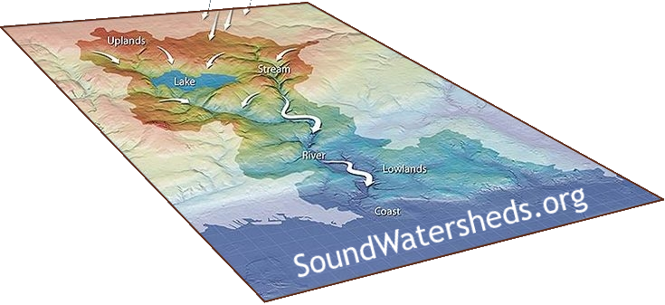 Watershed Logo Cropped - .org (735x337), Png Download