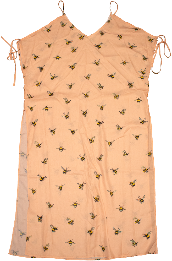 Sheer Bumblebee Dress In Blush - Dress (1024x1024), Png Download