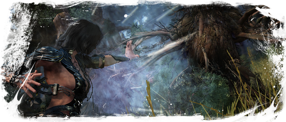 Black Desert Online - Video Game (980x400), Png Download