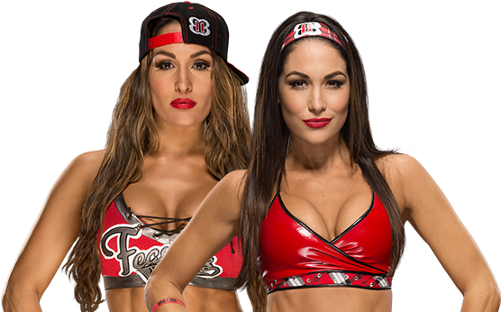 The Bella Twins - Bella Twins (562x408), Png Download
