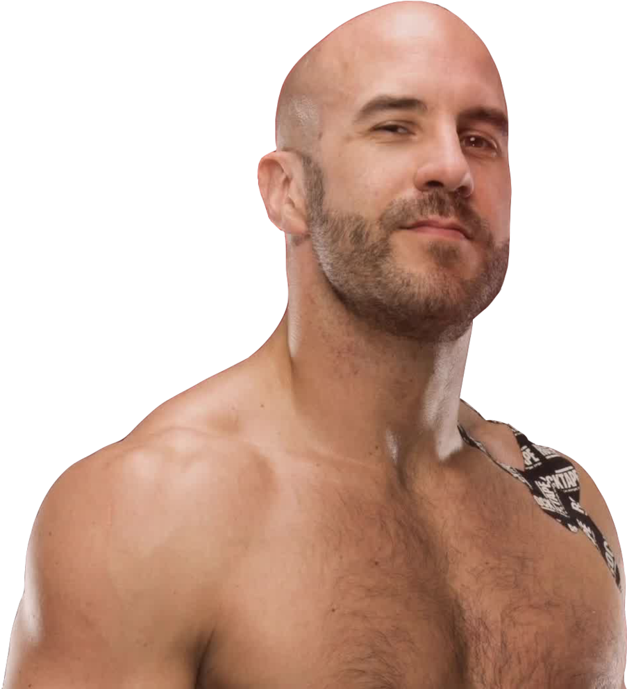 Cesaro Png Photo - Wwe Cesaro Png 2016 (1024x1024), Png Download