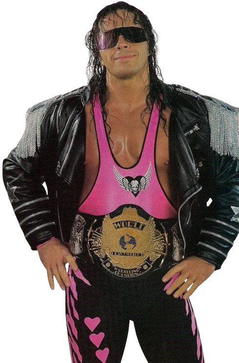 (3/20/94 - Bret Hart Pink And Black (489x741), Png Download