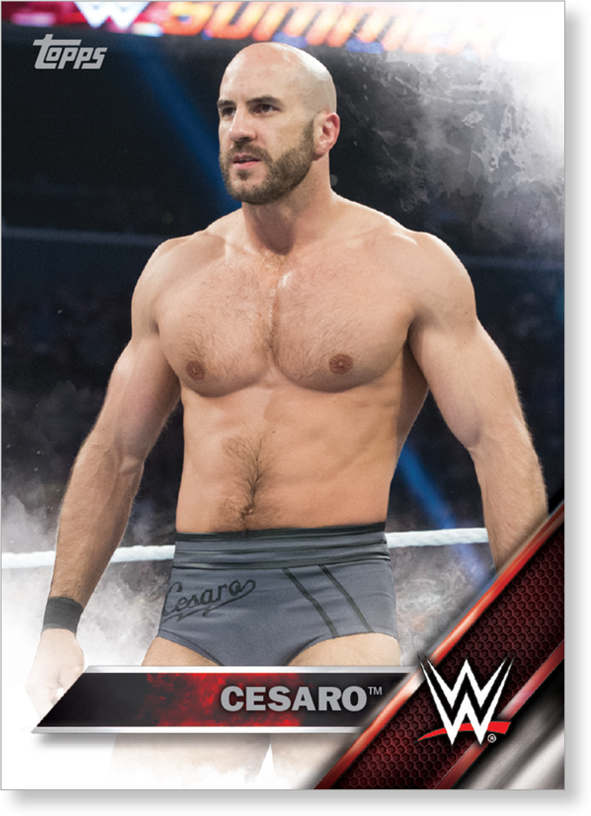Cesaro Png (2000x2000), Png Download