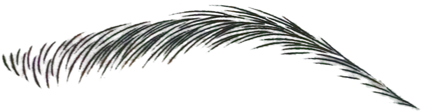 A Beautiful Glow Blog Jpg Library Stock - Microblading Black And White (937x366), Png Download