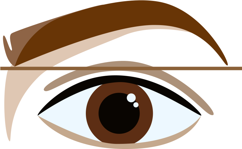 Perfectly Shaped Eyebrows - Brown Eyebrow Cartoon (800x800), Png Download