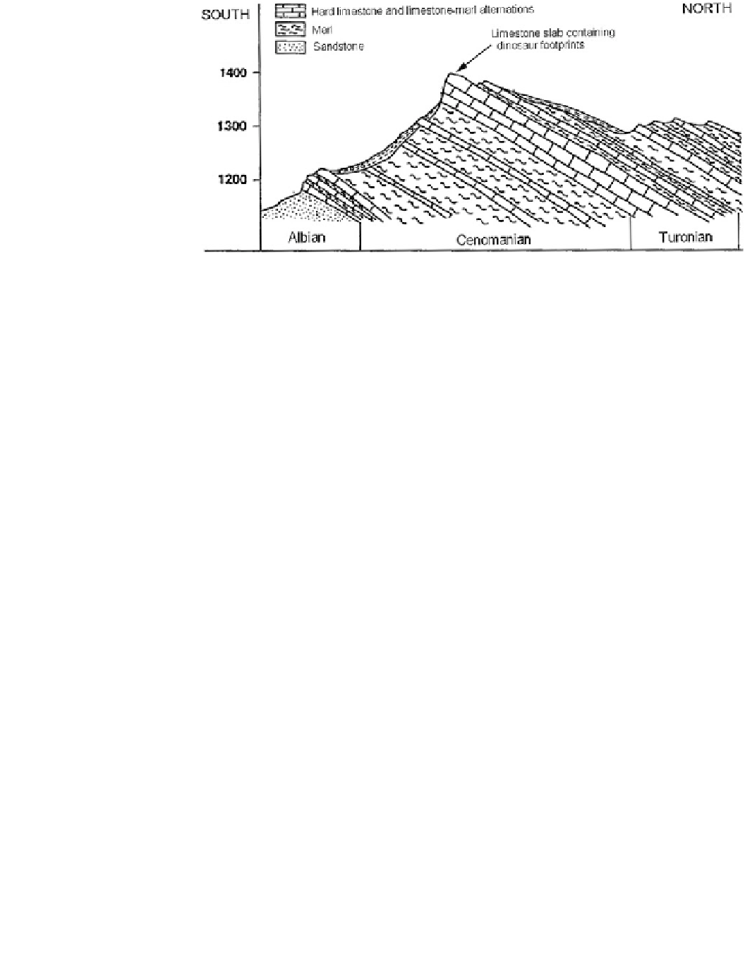 8 Theropod Footprint At Tiout Track Site - Illustration (1056x1357), Png Download