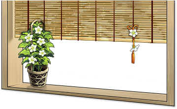 Ground Cherry Flower Window - Physalis (438x360), Png Download