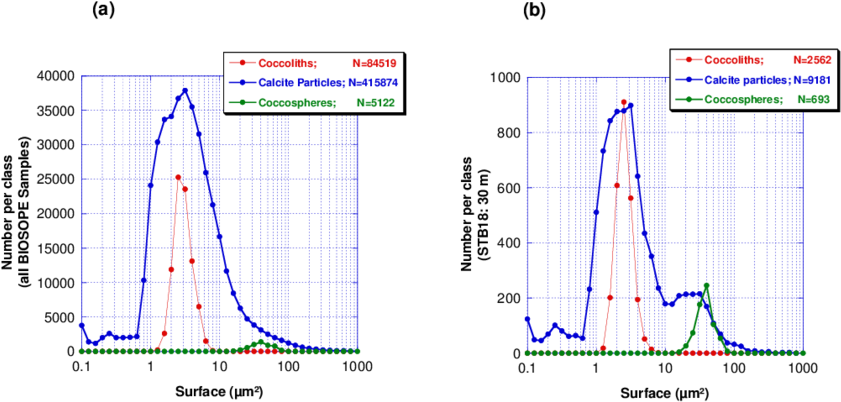 Distribution Of Area Of Coccoliths , Coccospheres (green) - Diagram (850x420), Png Download