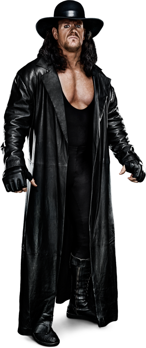 Undertaker Stats Png By Https - Wwe World Heavyweight Champion Undertaker (579x1381), Png Download