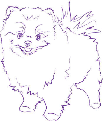 Sketch (349x409), Png Download
