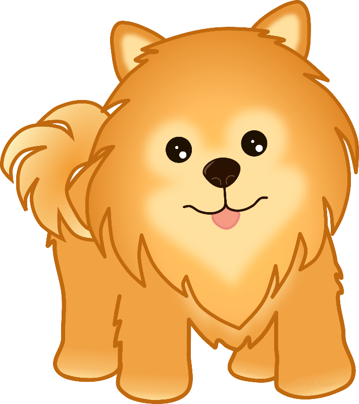 Pomeranian Puppy Dog - Dog Pomeranian Clipart Png (711x800), Png Download