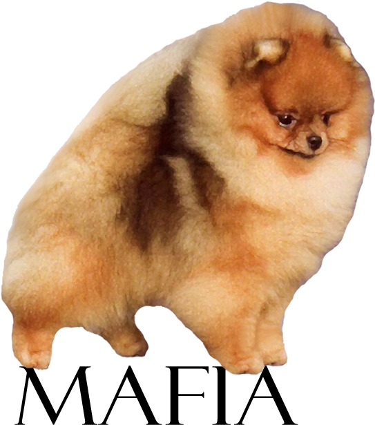 Bronze Gch Lynnwrights Mob Boss - Isbn (900x650), Png Download