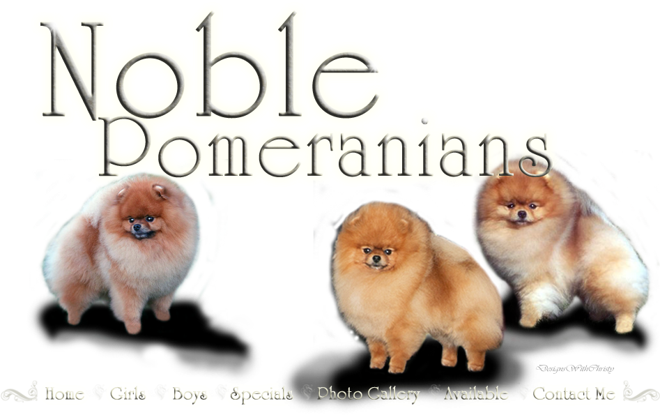 Home (950x675), Png Download