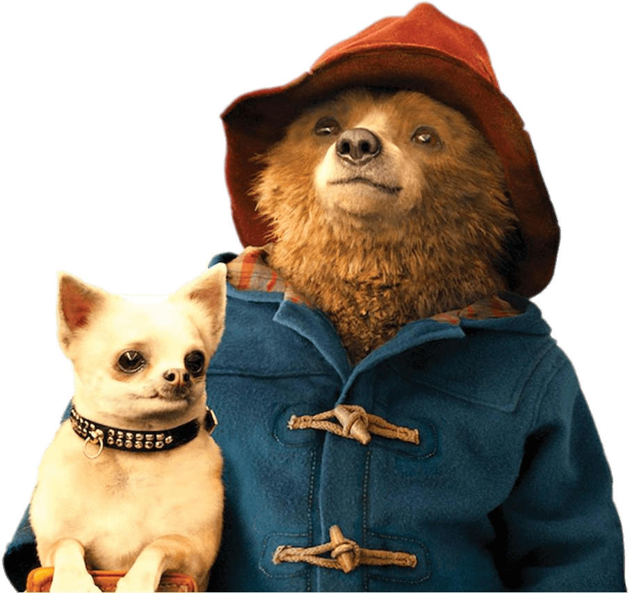 Paddington Bear Holding Small Dog - Paddington Png (960x888), Png Download