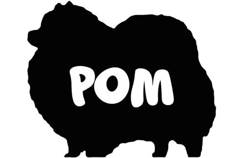 Pomeranian Tshirt (500x500), Png Download